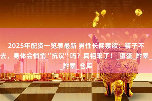 2025年配资一览表最新 男性长期禁欲：精子不排出去，身体会悄悄“抗议”吗？真相来了！_蛋蛋_附睾_仓库
