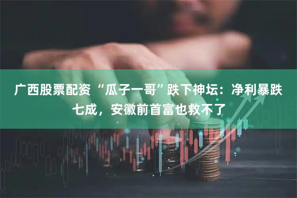 广西股票配资 “瓜子一哥”跌下神坛：净利暴跌七成，安徽前首富也救不了